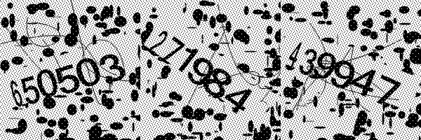 Please enable image downloads in your browser.