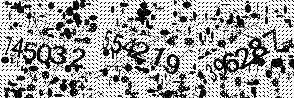 Please enable image downloads in your browser.